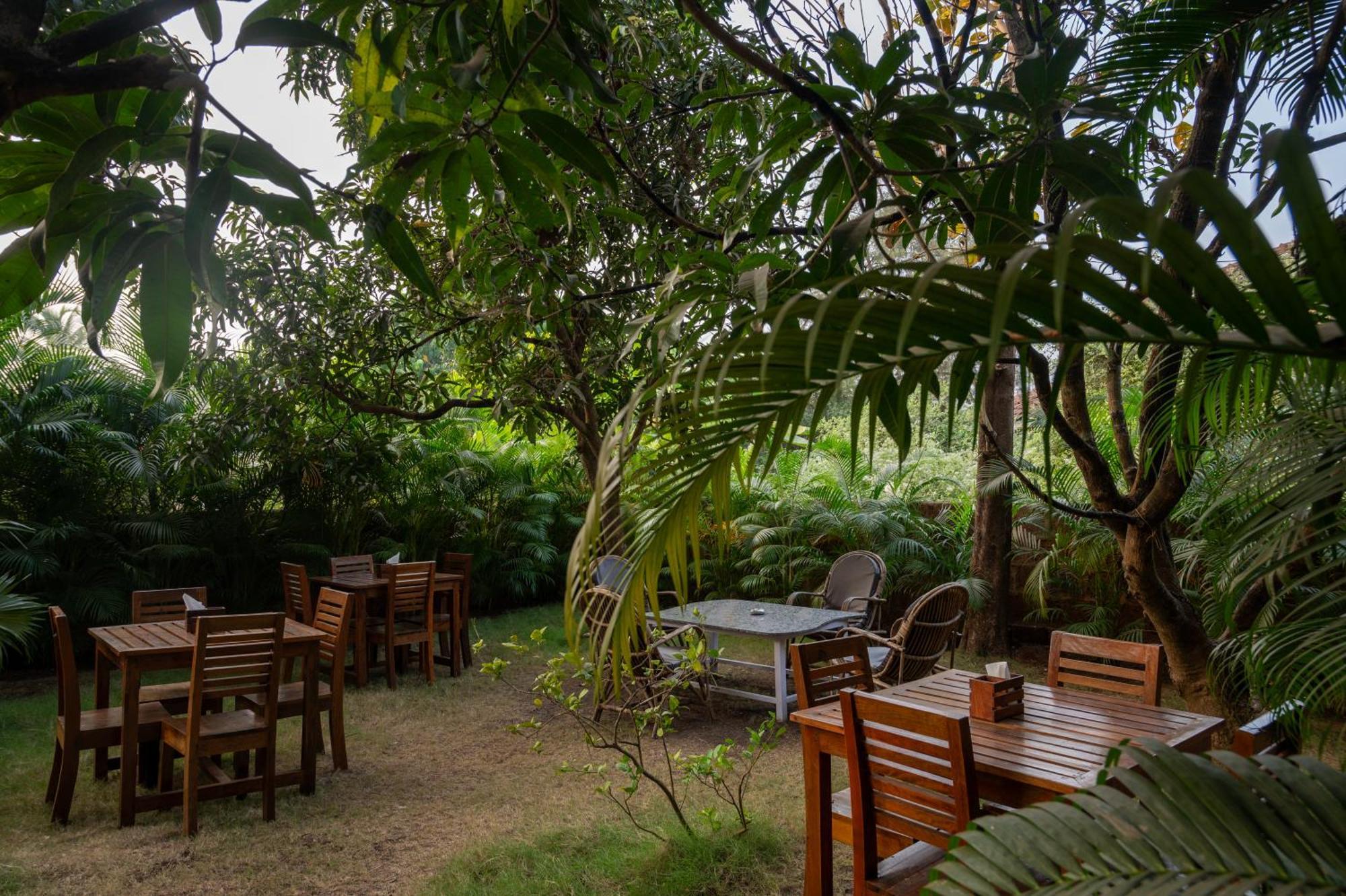Hotel Aaria Hills Arambol Exteriér fotografie
